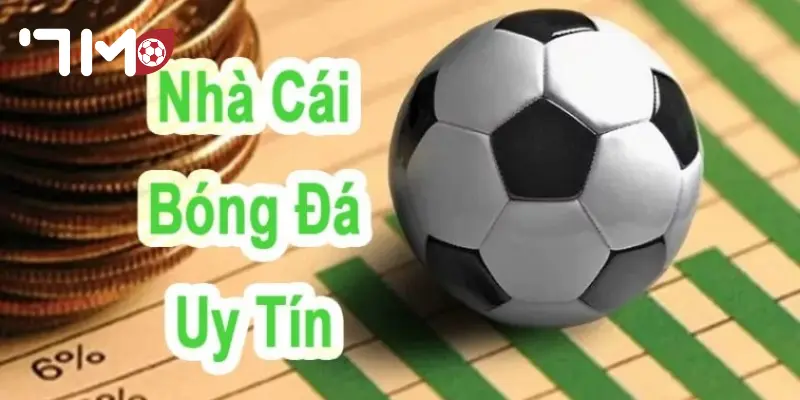 Top 7 Nhà Cái Bóng Uy Tín Bí quyết giúp chọn từ top 7 nhà cái bóng uy tín