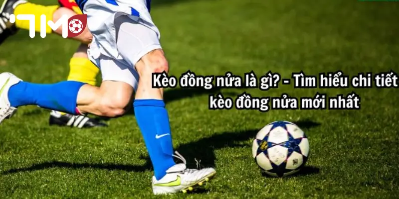 Kèo Đồng Nửa Bí quyết giúp phân tích kèo đồng nửa để tăng cơ hội