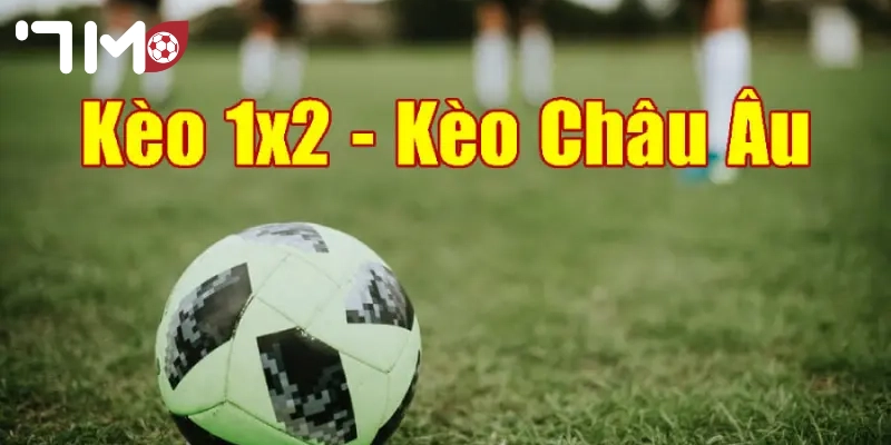 kèo châu Âu Các cửa cược trong kèo Châu Âu