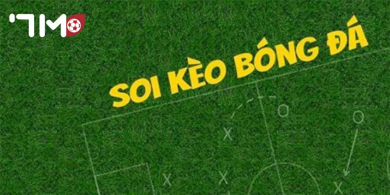 Kèo Nhà Cái Cách điểm cược đưa ra các kèo nhà cái siêu chuẩn