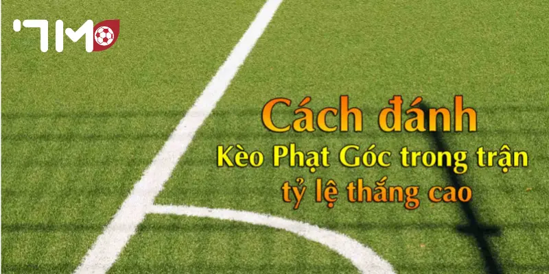 Kèo Phạt Góc Cách đọc kèo phạt góc chuẩn và tối ưu