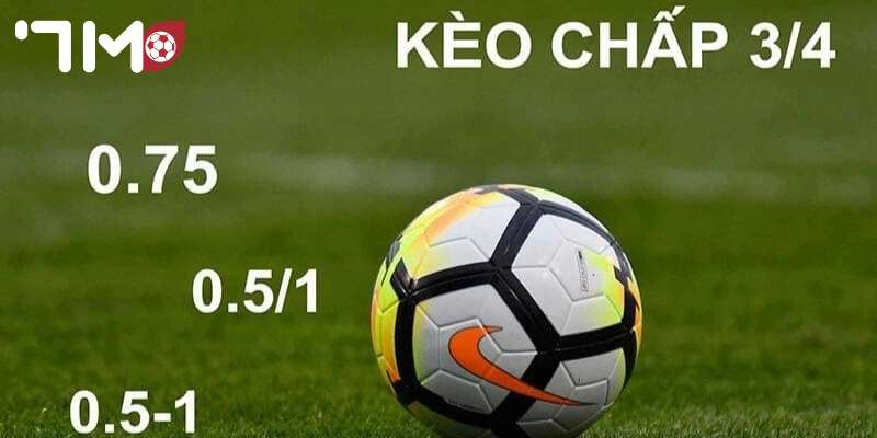 7M Đa dạng kèo cược để lựa chọn