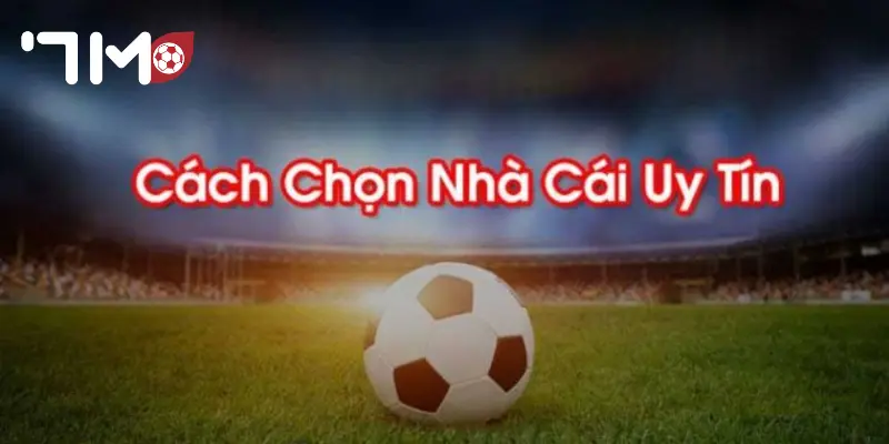 Top 7 Nhà Cái Bóng Uy Tín Danh sách gồm Top 7 nhà cái bóng uy tín