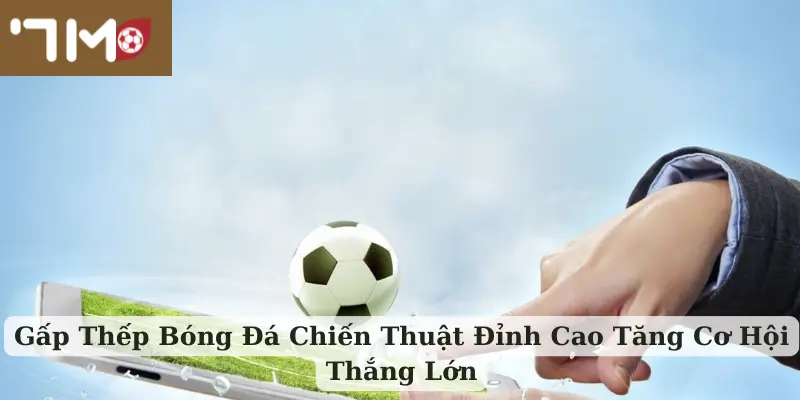 Gấp Thếp Bóng Đá