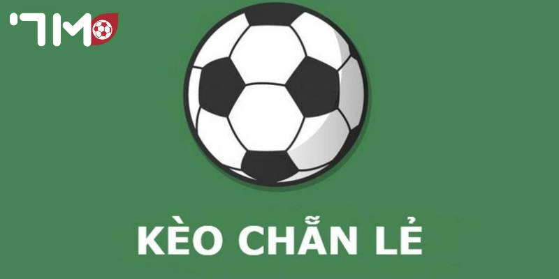 kèo chẵn lẻ Mẹo hay soi kèo siêu chuẩn từ cao thủ