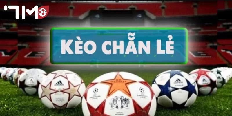kèo chẵn lẻ Phân tích kèo chẵn lẻ trước mỗi trận đấu