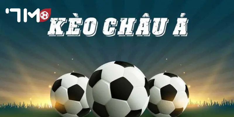 Kèo Châu Á Tại sao kèo châu Á trở thành món khoái khẩu?