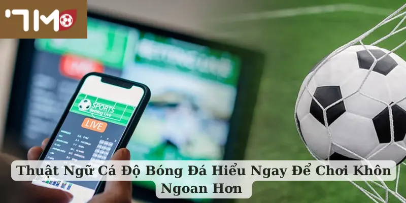Thuật Ngữ Cá Độ Bóng Đá