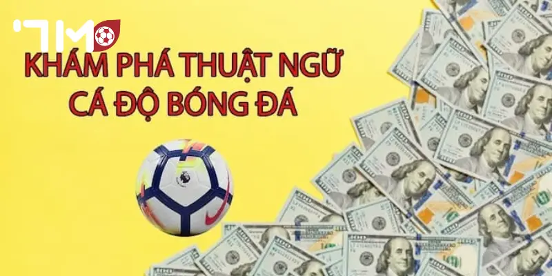 Thuật Ngữ Cá Độ Bóng Đá Thuật ngữ cá độ bóng đá đang được lưu hành