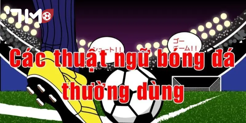 Thuật Ngữ Cá Độ Bóng Đá Thuật ngữ cá độ bóng đá tại 7M chất lượng